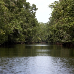 Climate Positive Report Feb 25: Mataven Forest 